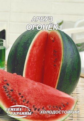 Кавун Огоньок [20г]