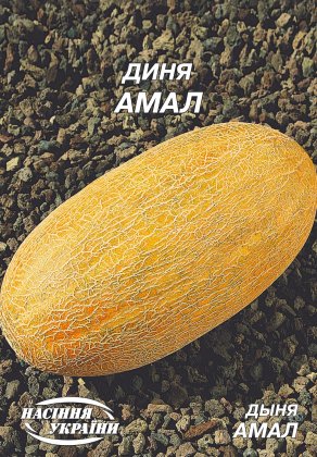 Диня Амал [10г]