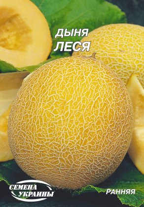 Диня Леся [10г]