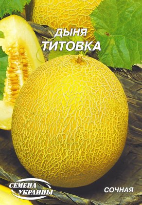 Диня Тітовка [10г]