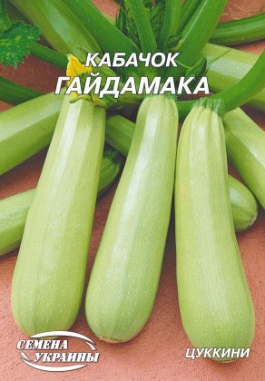 Кабачок Гайдамака [20г]