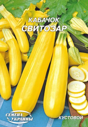 Кабачок Світозар [20г]