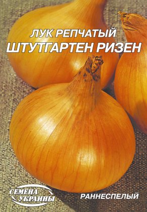 Цибуля рiпч Штутгартен різен[15г]