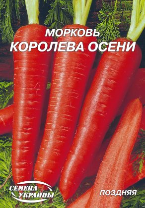 Морква Королева осені [20г]