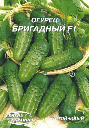 Огірок Бригадний F1 [4г]