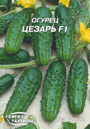 Огірок Цезарь F1 [4г]