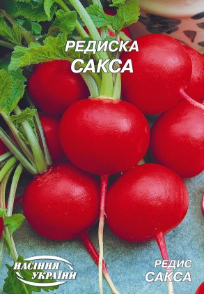 Редиска Сакса (20г)