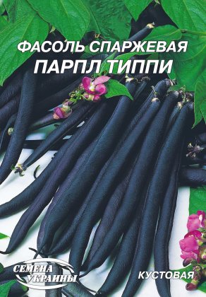 Квасоля кущова Парпл Тіппі [20г]