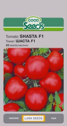 Tomato SHASTA F1 [20pcs]