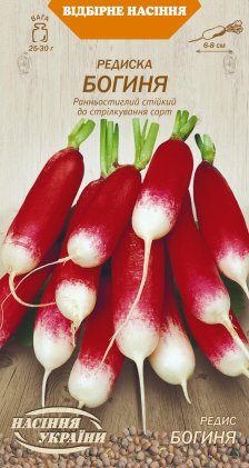 Редиска БОГИНЯ [2г]