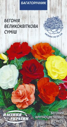 Бегонія Великоквіткова (суміш) [10шт]