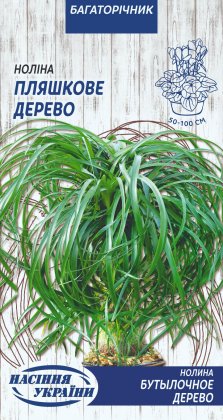 Ноліна ПЛЯШКОВЕ ДЕРЕВО [4шт]