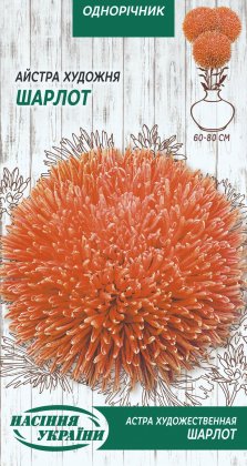Айстра Художня ШАРЛОТ [0,25г]