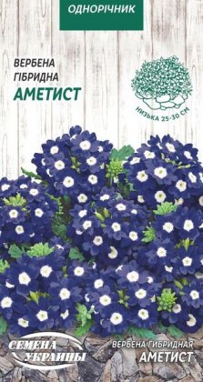 Вербена Гібридна АМЕТИСТ [0,1г]