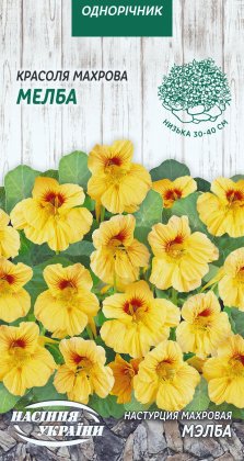 Красоля Махрова МЕЛБА [1г]
