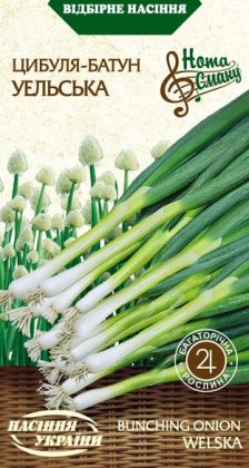 Цибуля-батун УЕЛЬСЬКА [1г]
