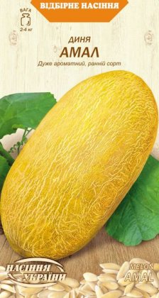 Диня АМАЛ [1г]