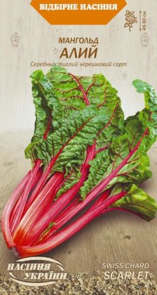 Мангольд АЛИЙ [2г]