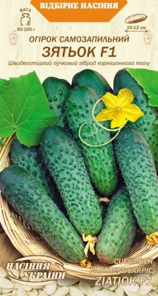 Огірок Самозапильний ЗЯТЬОК F1 [0,25г]
