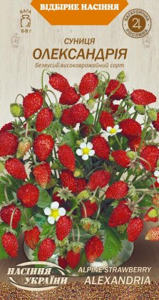 Суниця ОЛЕКСАНДРІЯ [0,1г]