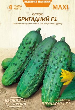 МАКСІ Огірок БРИГАДНИЙ F1 [4г]