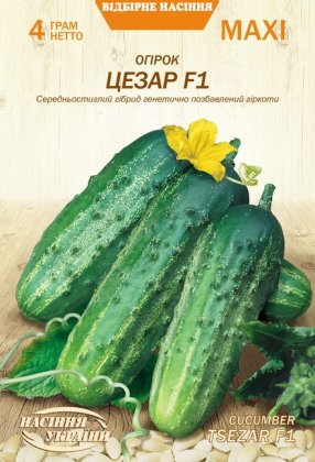 МАКСІ Огірок ЦЕЗАРЬ F1 [4г]