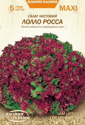 МАКСІ Салат Листовий ЛОЛЛО РОССА [5г]