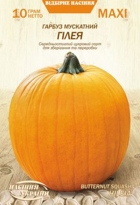 МАКСІ Гарбуз Мускатний ГІЛЕЯ [10г]