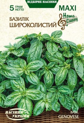 МАКСІ Базилік ШИРОКОЛИСТИЙ [5г]
