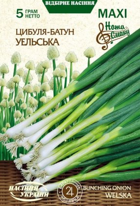 МАКСІ Цибуля-батун УЕЛЬСЬКА [5г]