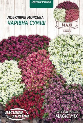 МАКСІ Лобулярія Морська ЧАРІВНА СУМІШ [2г]