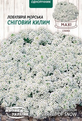МАКСІ Лобулярія Морська СНІГОВИЙ КИЛИМ [5г]