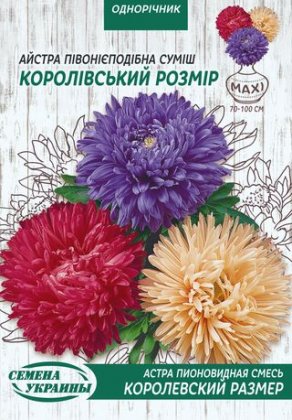 МАКСІ Айстра Піоновидна КОРОЛІВСЬКИЙ РОЗМІР (суміш) [3г]