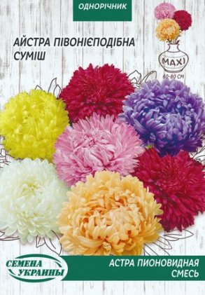 МАКСІ Айстра Піоновидна (суміш) [3г]