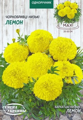 МАКСІ Чорнобривці Прямостоячі Низькі ЛЕМОН [3г]