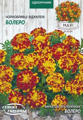 МАКСІ Чорнобривці Відхилені БОЛЕРО [5г]