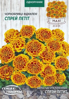 МАКСІ Чорнобривці Відхилені СПРЕЙ ПЕТІТ [5г]