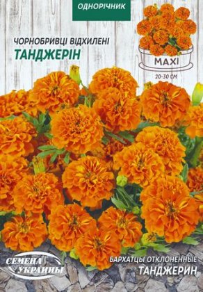 МАКСІ Чорнобривці Відхилені ТАНДЖЕРІН [5г]