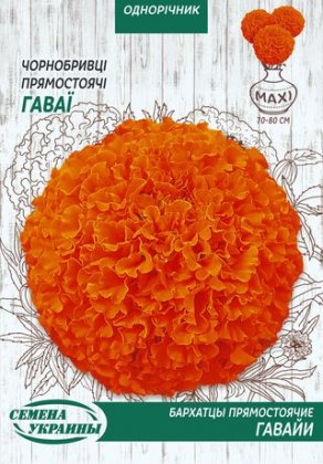 МАКСІ Чорнобривці Прямостоячі ГАВАЇ [5г]