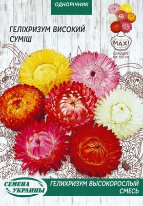 МАКСІ Геліхризум Високий (суміш) [3г]
