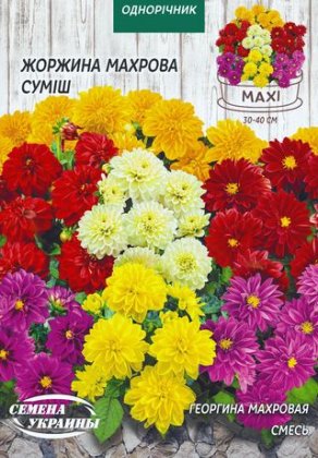 МАКСІ Жоржина Махрова (суміш) [2г]