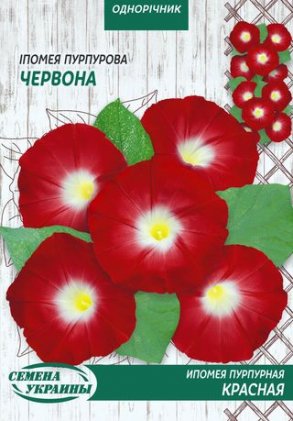 МАКСІ Іпомея Пурпурова ЧЕРВОНА [10г]