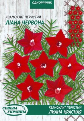 МАКСІ Квамокліт Перистий ЛІАНА ЧЕРВОНА [2г]