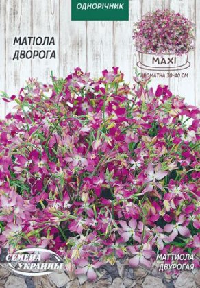 МАКСІ Матіола Дворога [5г]
