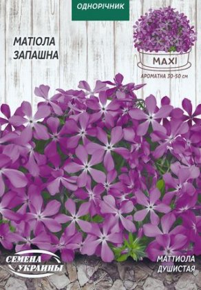 МАКСІ Матіола Запашна [10г]