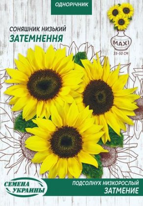 МАКСІ Соняшник Низький ЗАТЕМНЕННЯ [10г]