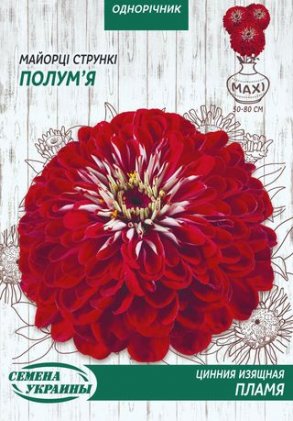 МАКСІ Майорці Стрункі ПОЛУМ'Я [5г]