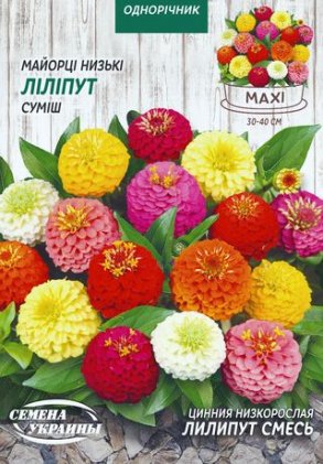 МАКСІ Майорці Низькі ЛІЛІПУТ (суміш) [5г]