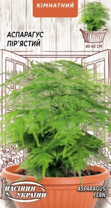 Аспарагус Пір'ястий [0,2г]