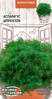 Аспарагус Шпренгера [0,2г]